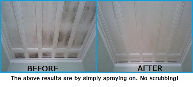 Easy Way To Clean Mould Off Walls Ceilings Curtain Magic Remover - How Do You Remove Mold From Bathroom Ceiling And Walls